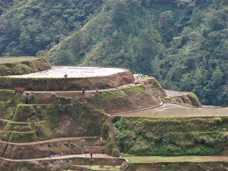 The beautiful rice terraces in Banaue