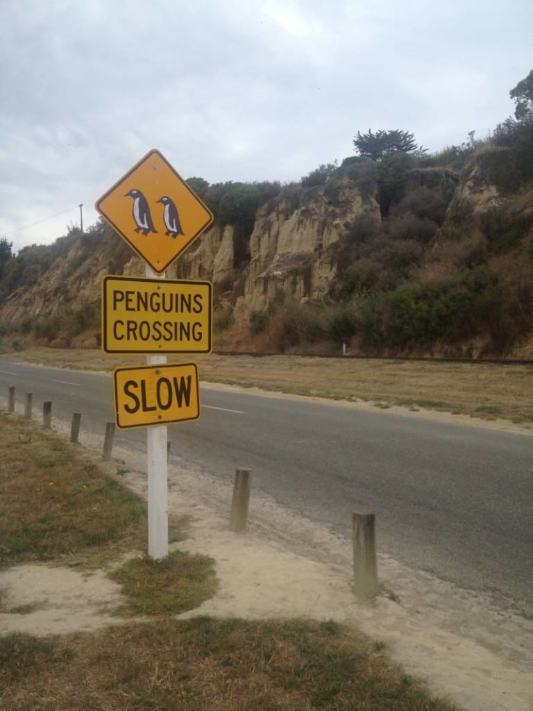 Penguins crossing sign in New Zealand