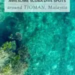 Do you want to go scuba diving at Tioman, Malaysia? Click to read everything about diving at this beautiful tropical island. Information about how to get to Tioman, where to stay as well as the best dive sites and information about dive prices. #Tioman #Malaysia #scubadiving