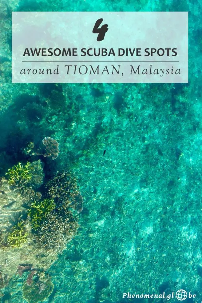 Do you want to go scuba diving at Tioman, Malaysia? Click to read everything about diving at this beautiful tropical island. Information about how to get to Tioman, where to stay as well as the best dive sites and information about dive prices. #Tioman #Malaysia #scubadiving