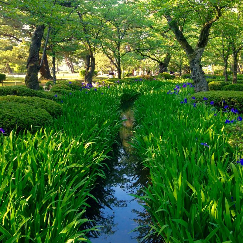 Kanazawa Kenrokuen Garden Japan