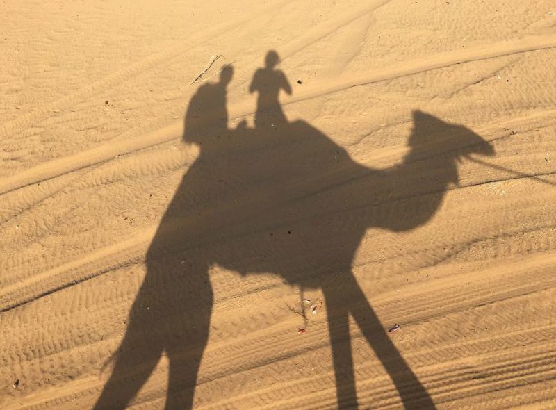 Camel riding in the Dubai desert