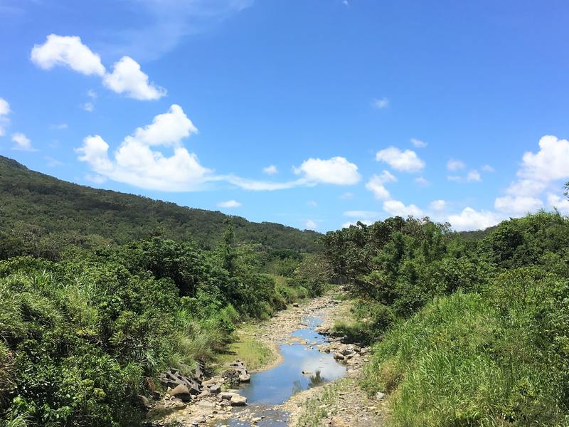 Kenting National Park is very green!