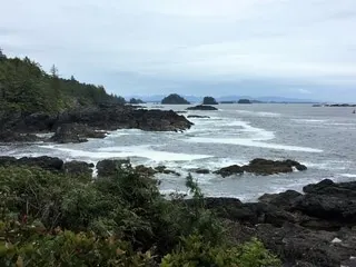 Hiking the Wild Pacific Trail on the South Coast of Vancouver Island