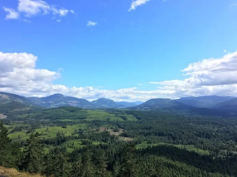 View from the Port Alberni Fire lookout 