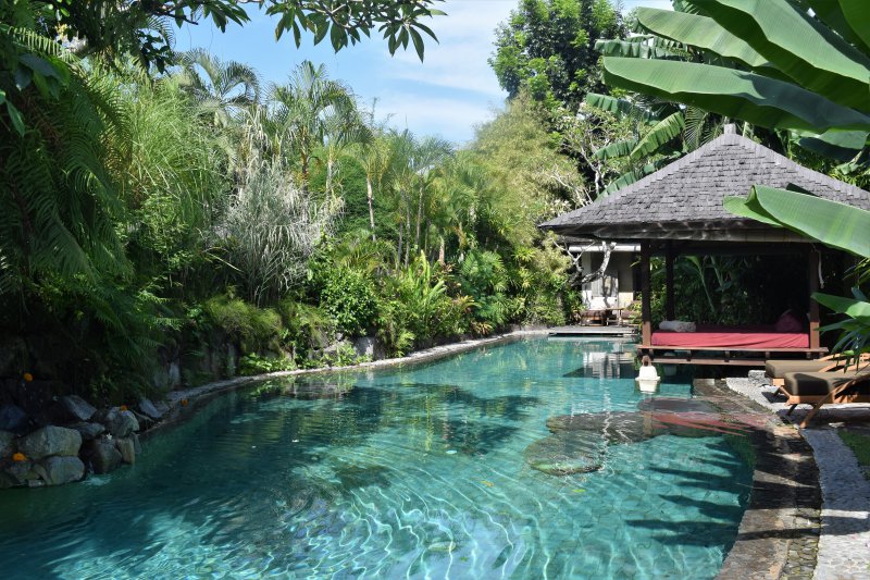 Swimming pool at the Jamahal Private Resort and Spa