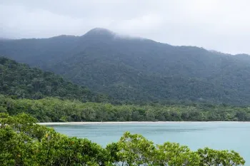 Cape Tribulation Beach and the Kulki Boardwalk - things to see and do around Cairns