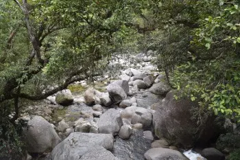Mossman Gorge - great swimming hole highlights around Cairns