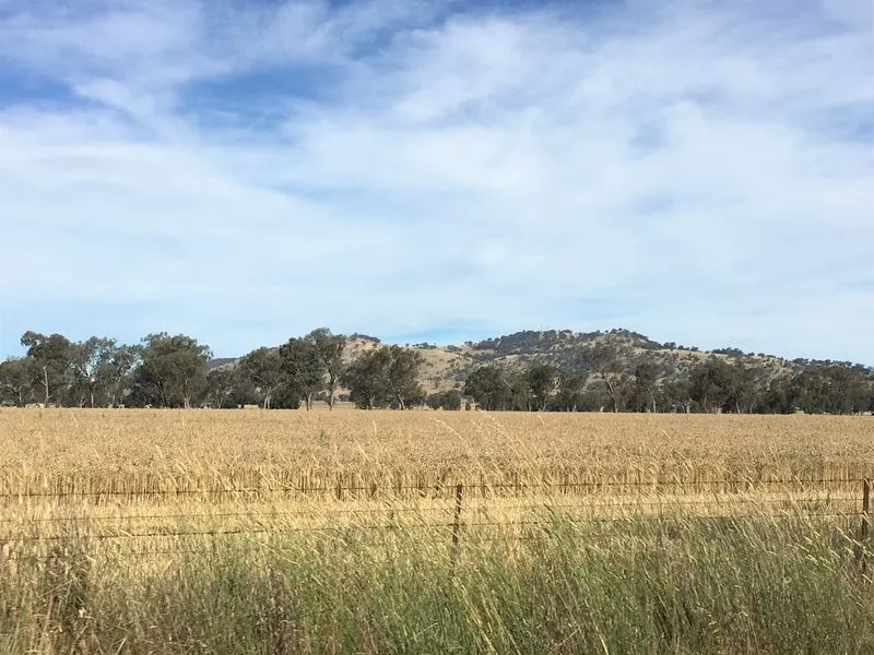One of the beautiful views on our Australia road trip