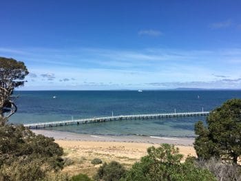 Things to do in Queenscliff - stroll around Princes Park