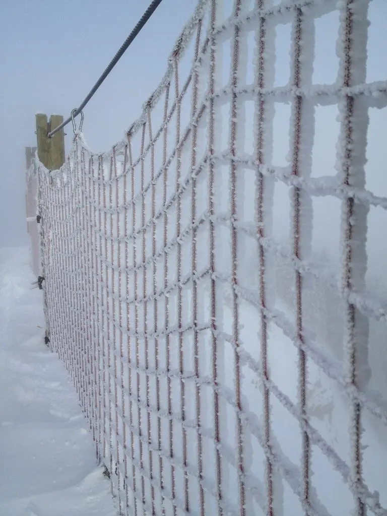 Snowy fence