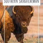 guide-to-the-best-places-to-visit-in-Saskatchewan-on-a-road-trip-phenomenalglobe.com