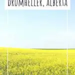 the-best-things-to-do-in-drumheller-phenomenalglobe.com