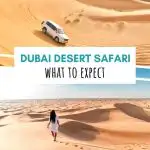 dubai-desert-safari-complete-itinerary-phenomenalglobe.com