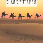 dubai-desert-safari-guide-phenomenalglobe.com