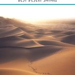 how-to-explore-dubai-desert-safari-phenomenalglobe.com